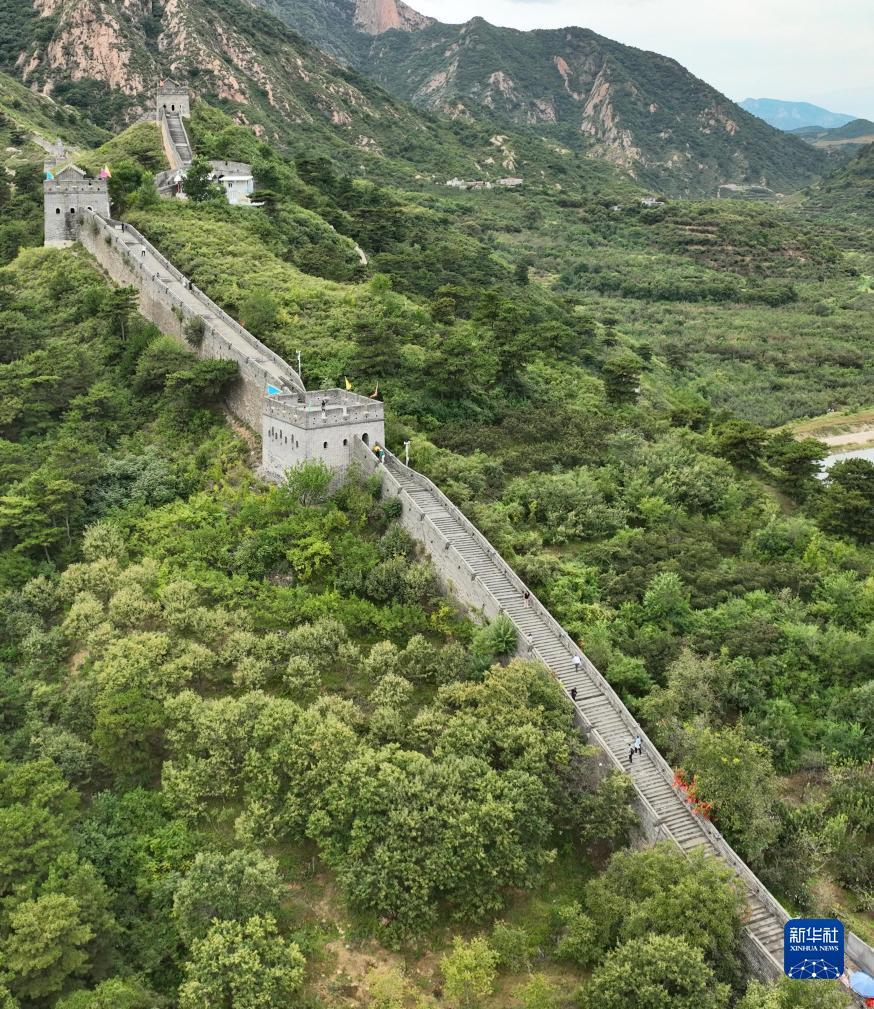英皇网址是多少